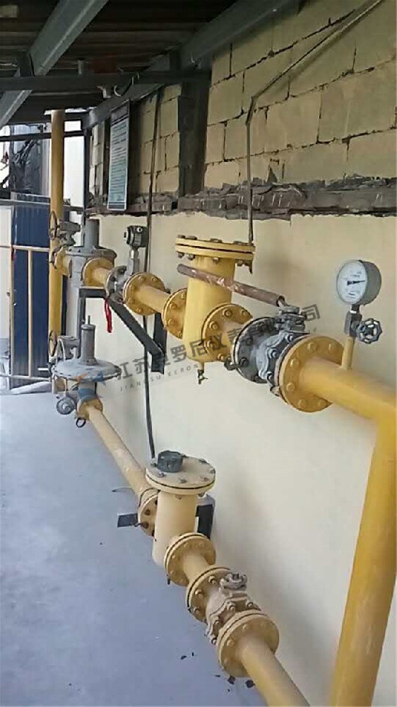 天燃氣流量計 天燃氣流量計